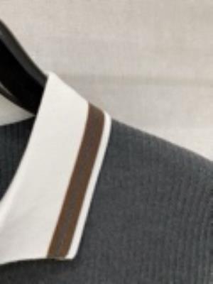 wholesale quality men ralph lauren polo shirts model no. 2806